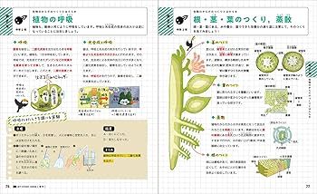 みのぴんぽんさん専用　学研　マイコーチ 理科　中1〜中3 (３年分) みのぴんぽんさん専用 学研 マイコーチ 理科 中1〜中3 (3年